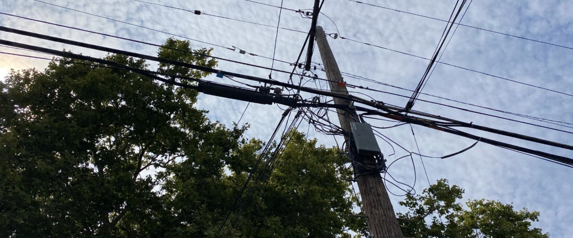 Who is Responsible for Trees Around Power Lines?