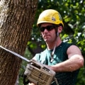 Is becoming an arborist hard?